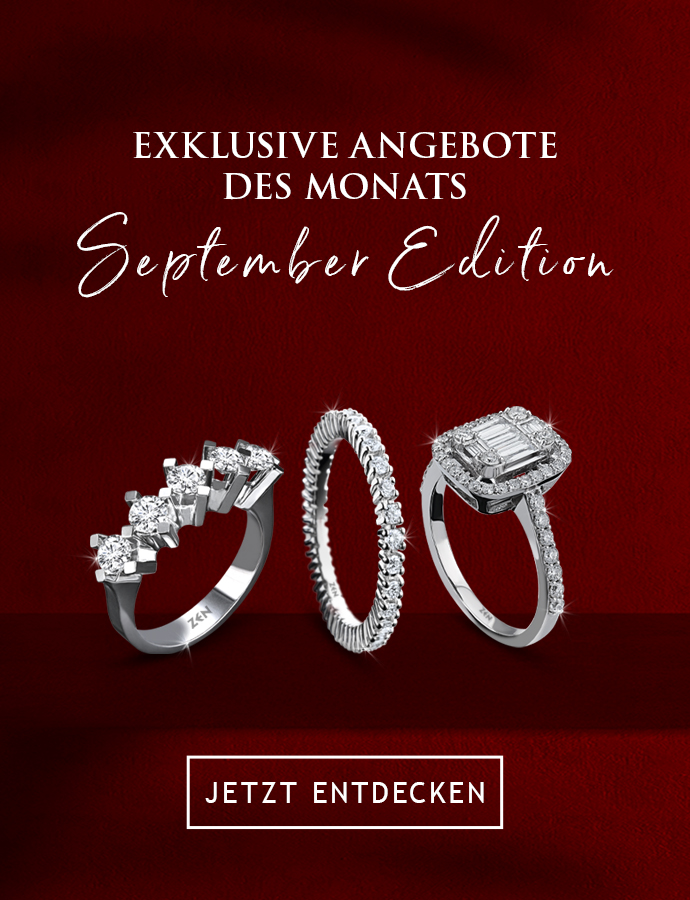 ANGEBOTE DES MONATS