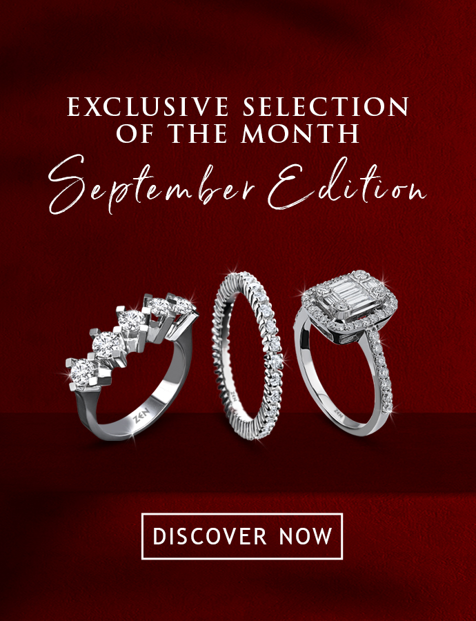 Exclusive Selection of the Month